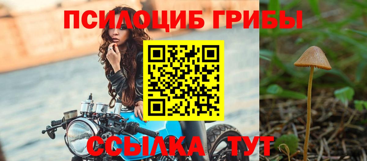 Новошахтинск  Псилоцибиновые грибы MAGIC MUSHROOMS  Вход с VPN 